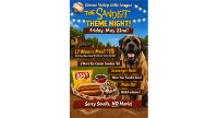 Sandlot Night